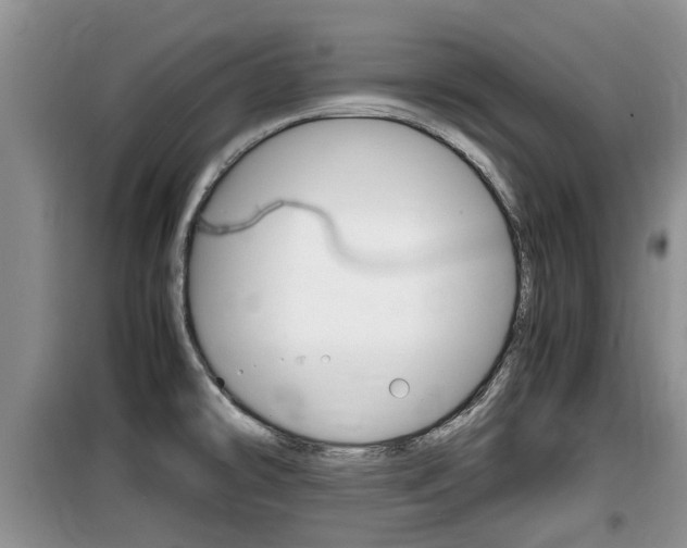 X0000100191478200805300714