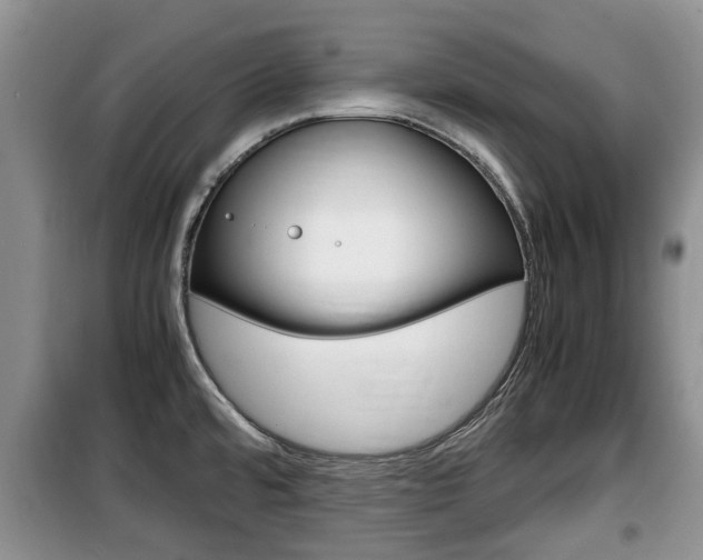 X0000100191480200805300713