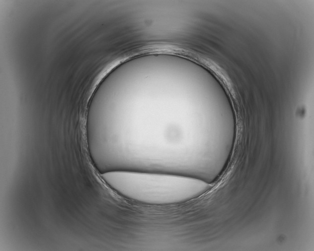 X0000100191481200805300713