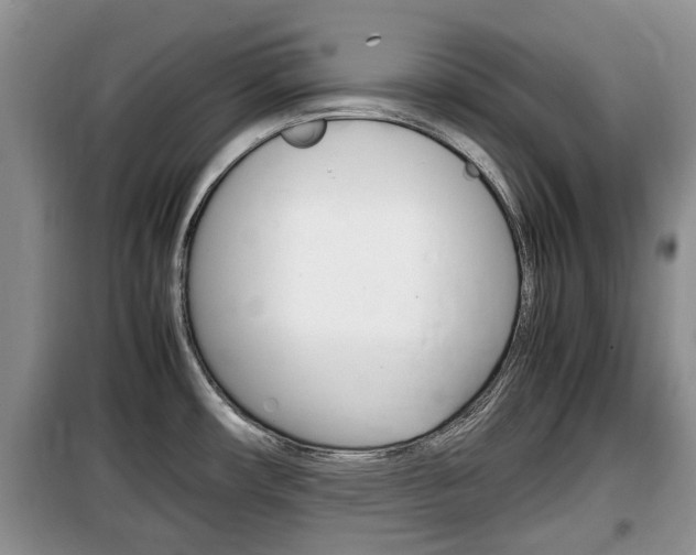 X0000100191482200805300713