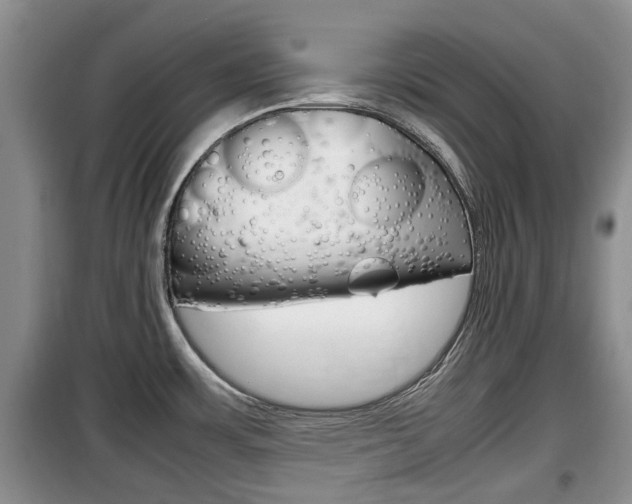 X0000100191483200805300713
