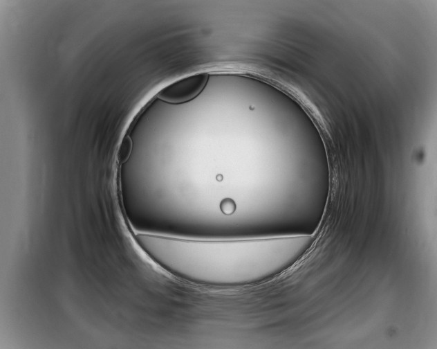 X0000100191484200805300713