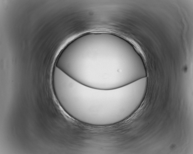 X0000100191485200805300713