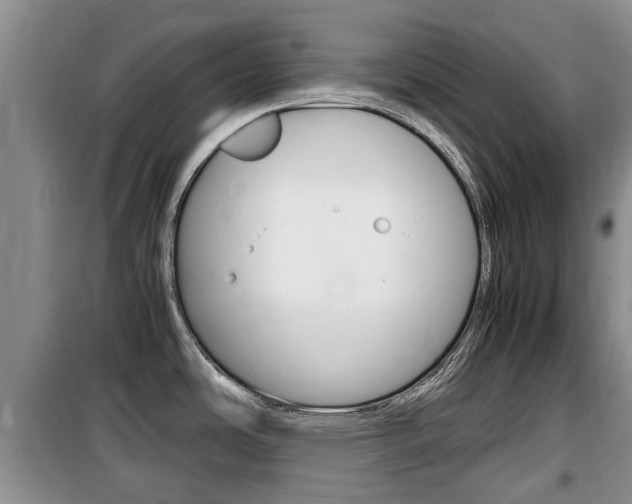 X0000100191486200805300713