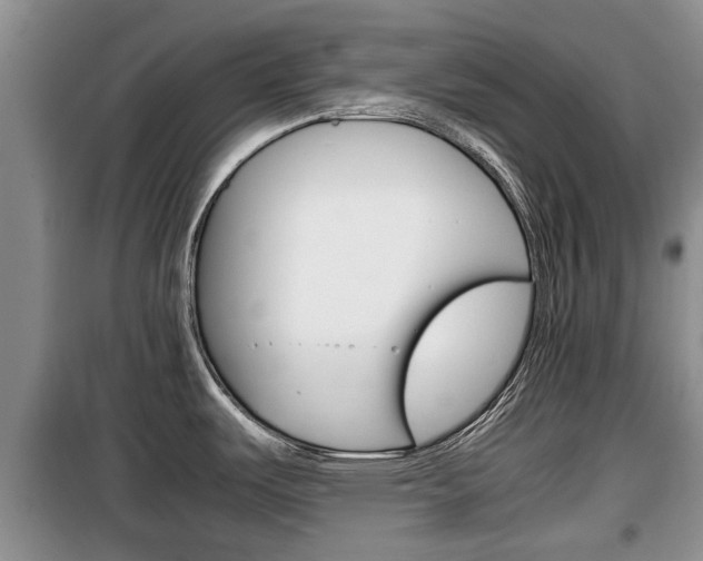 X0000100191487200805300713