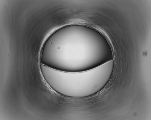 X0000100191488200805300713