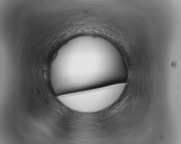 X0000100191490200805300713