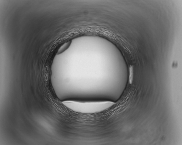 X0000100191491200805300713