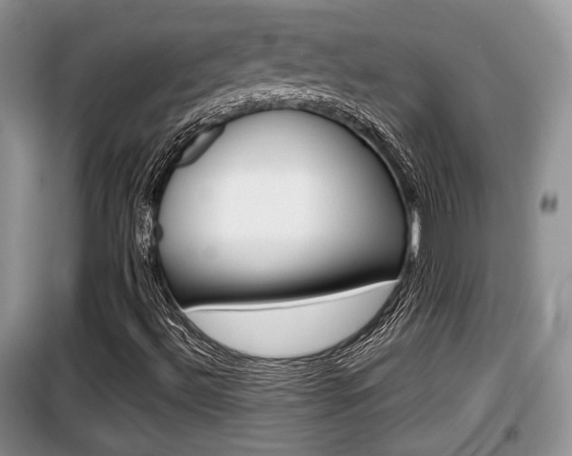 X0000100191492200805300713