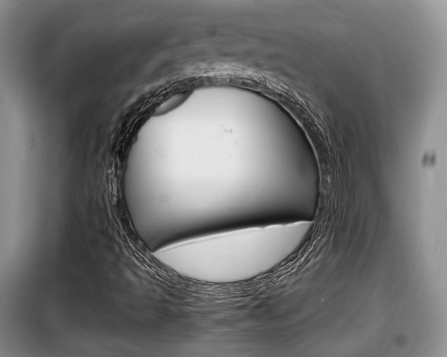 X0000100191493200805300713