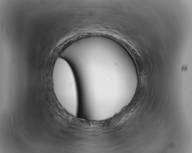 X0000100191494200805300713