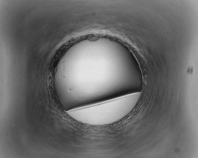 X0000100191495200805300713