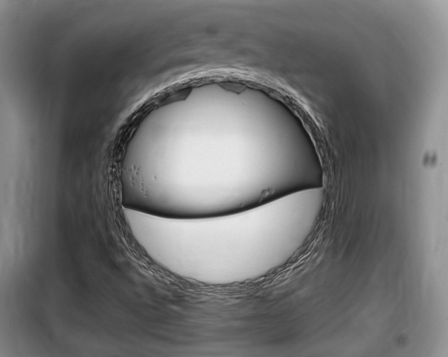 X0000100191496200805300713