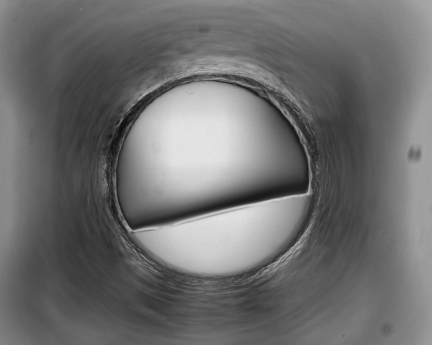 X0000100191497200805300713