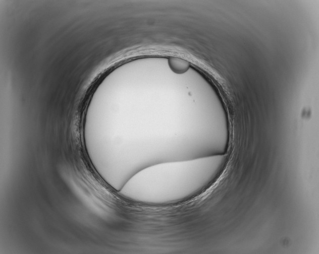 X0000100191498200805300713