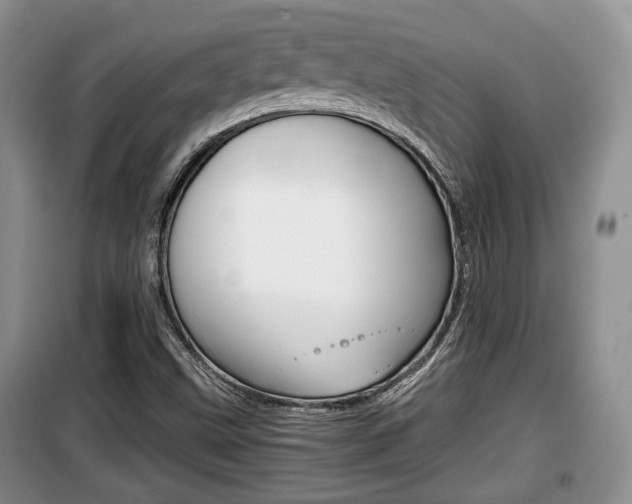 X0000100191499200805300713