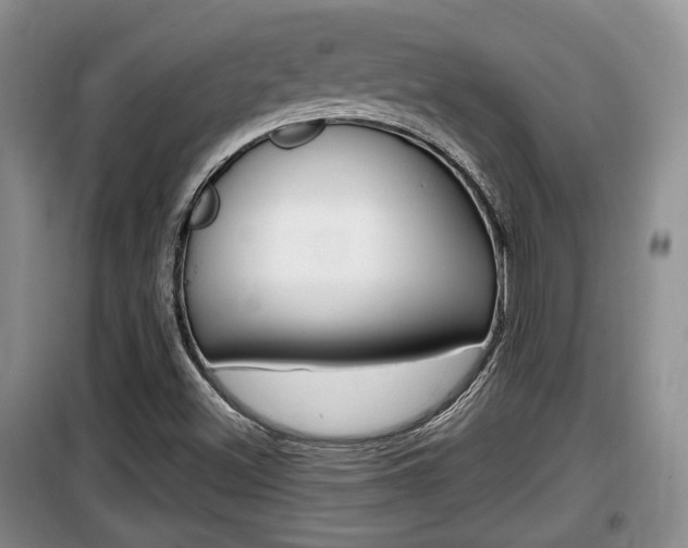 X0000100191500200805300713