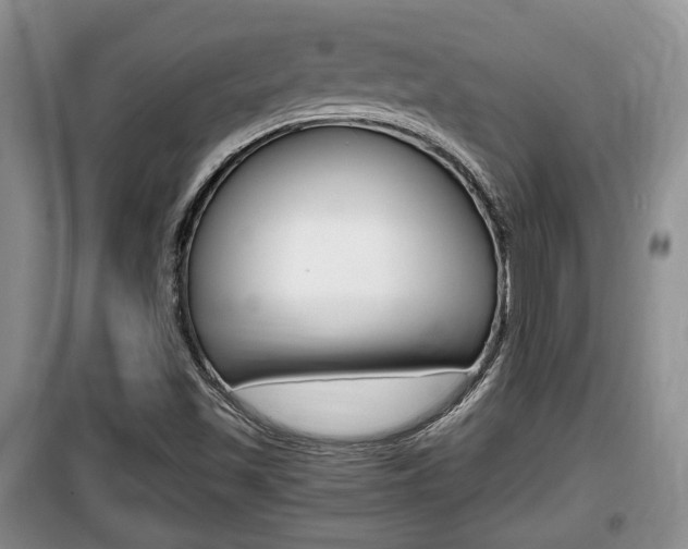 X0000100191501200805300713