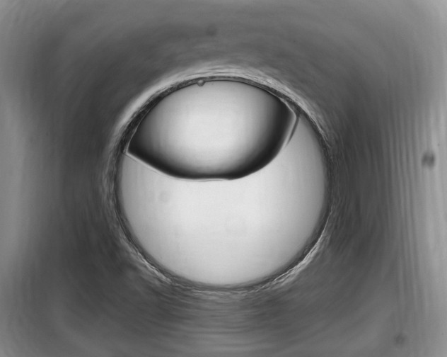 X0000100191502200805300713