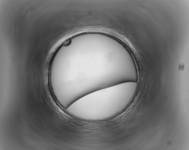 X0000100191504200805300713