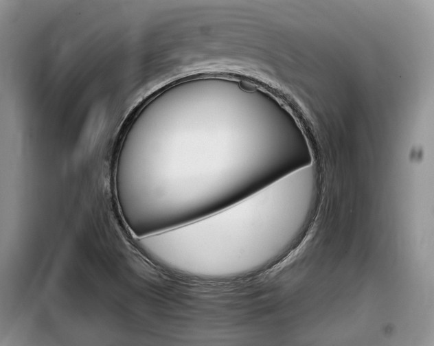 X0000100191505200805300713