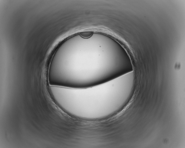 X0000100191506200805300713