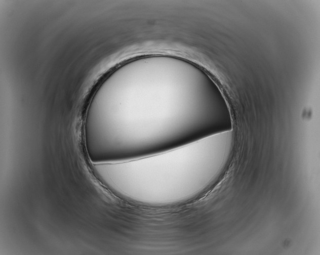 X0000100191507200805300713