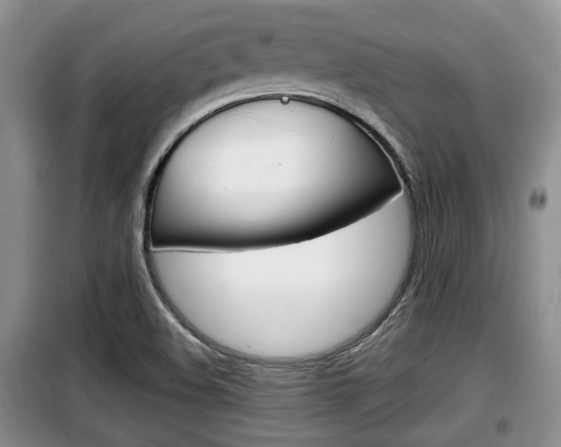 X0000100191508200805300713