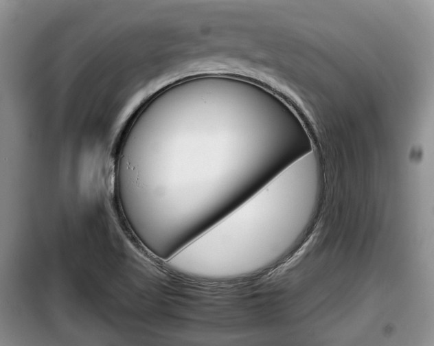 X0000100191509200805300713