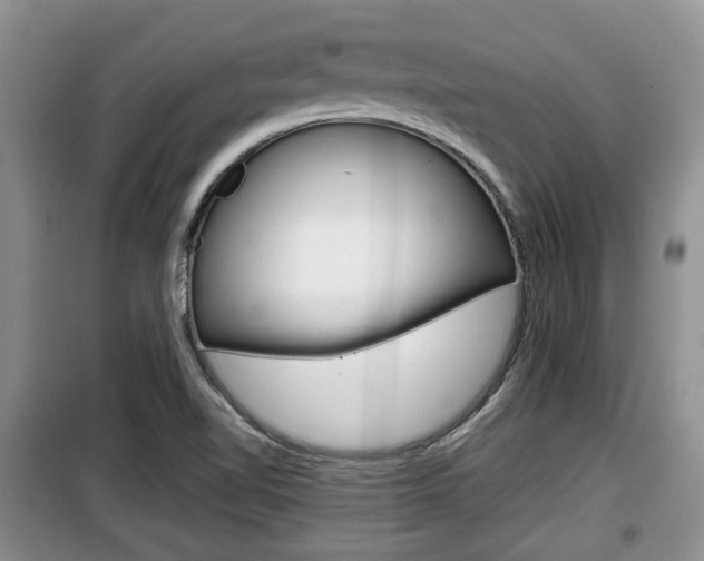 X0000100191510200805300713