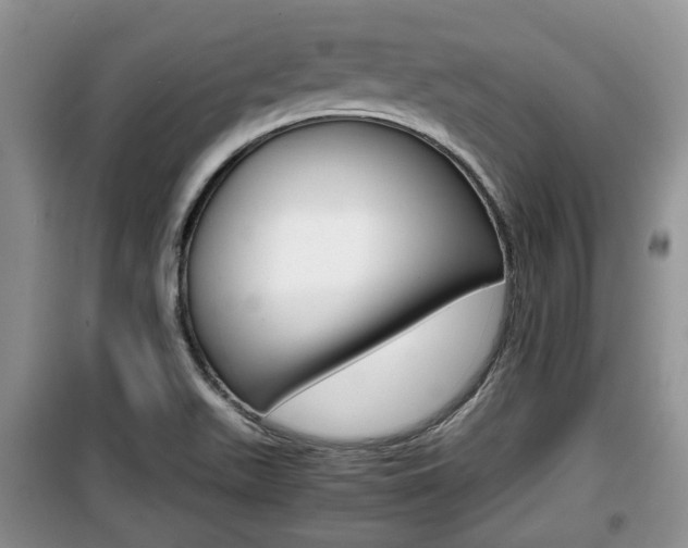 X0000100191511200805300713