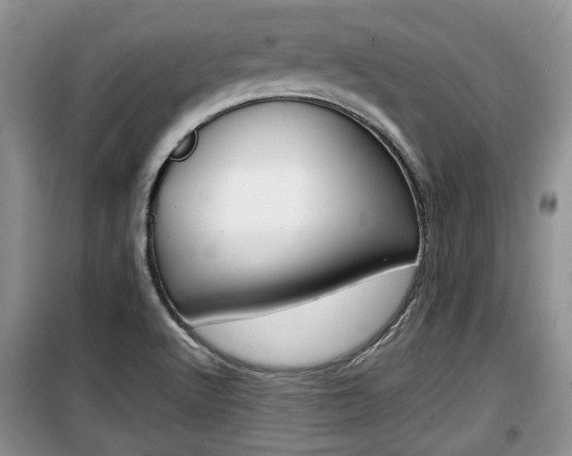 X0000100191512200805300713