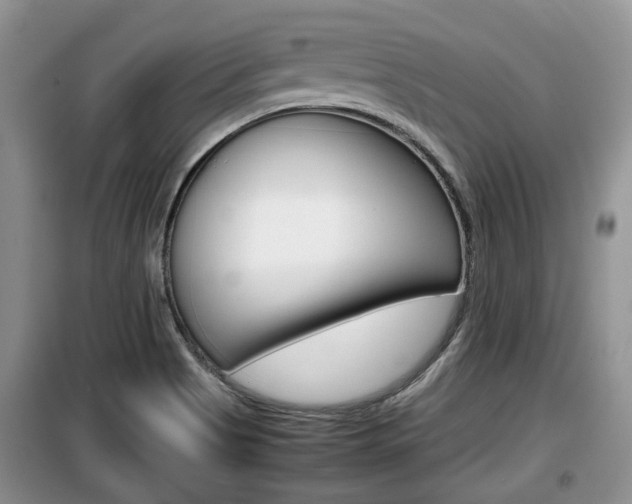 X0000100191513200805300713