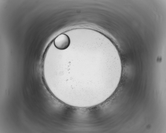 X0000100191514200805300713
