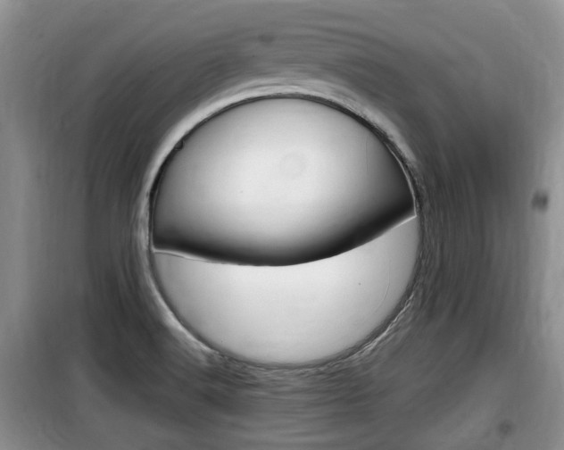 X0000100191516200805300713