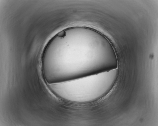 X0000100191517200805300713