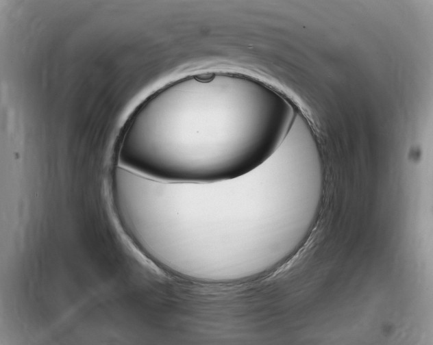 X0000100191518200805300713