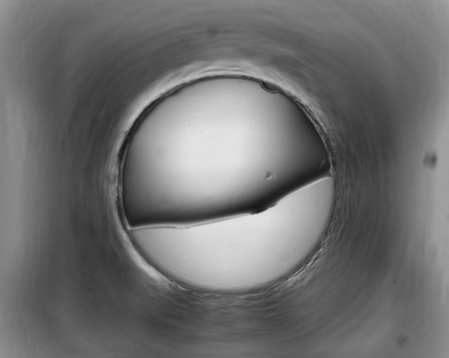 X0000100191519200805300713