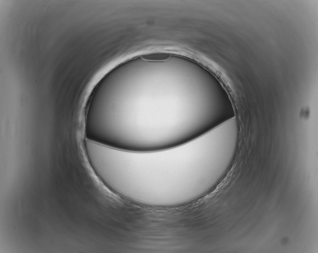 X0000100191520200805300713
