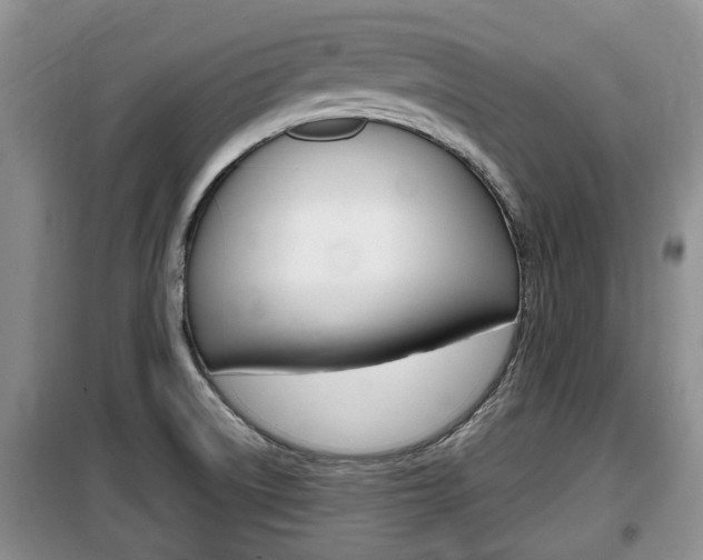 X0000100191522200805300713