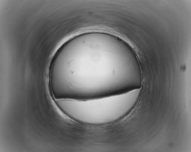 X0000100191523200805300713