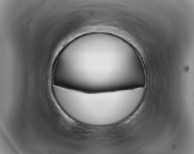 X0000100191525200805300713