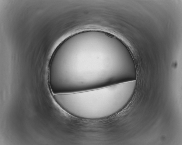 X0000100191527200805300713