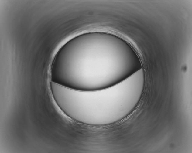 X0000100191528200805300713