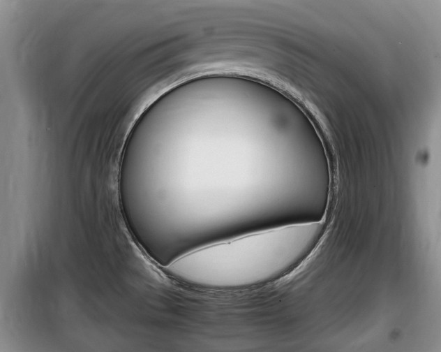 X0000100191529200805300713