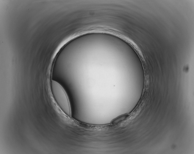 X0000100191530200805300713