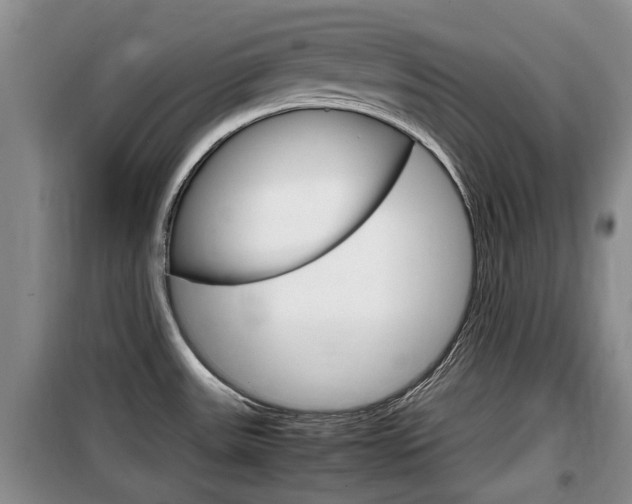 X0000100191531200805300713
