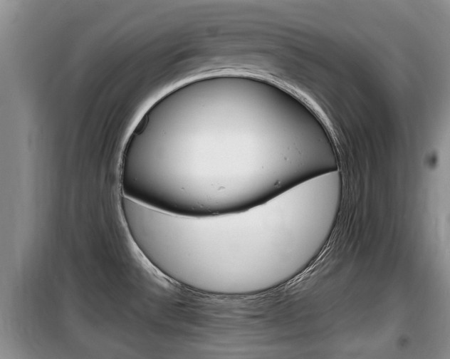 X0000100191532200805300713