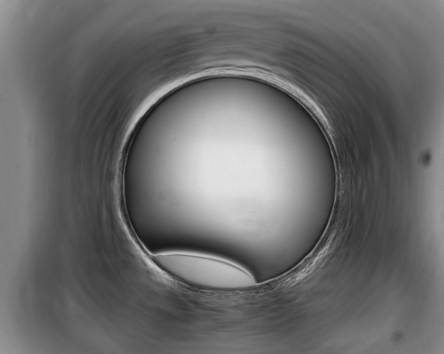 X0000100191533200805300713