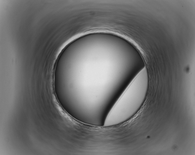 X0000100191534200805300713